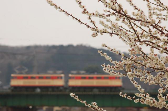 20090309_01.jpg